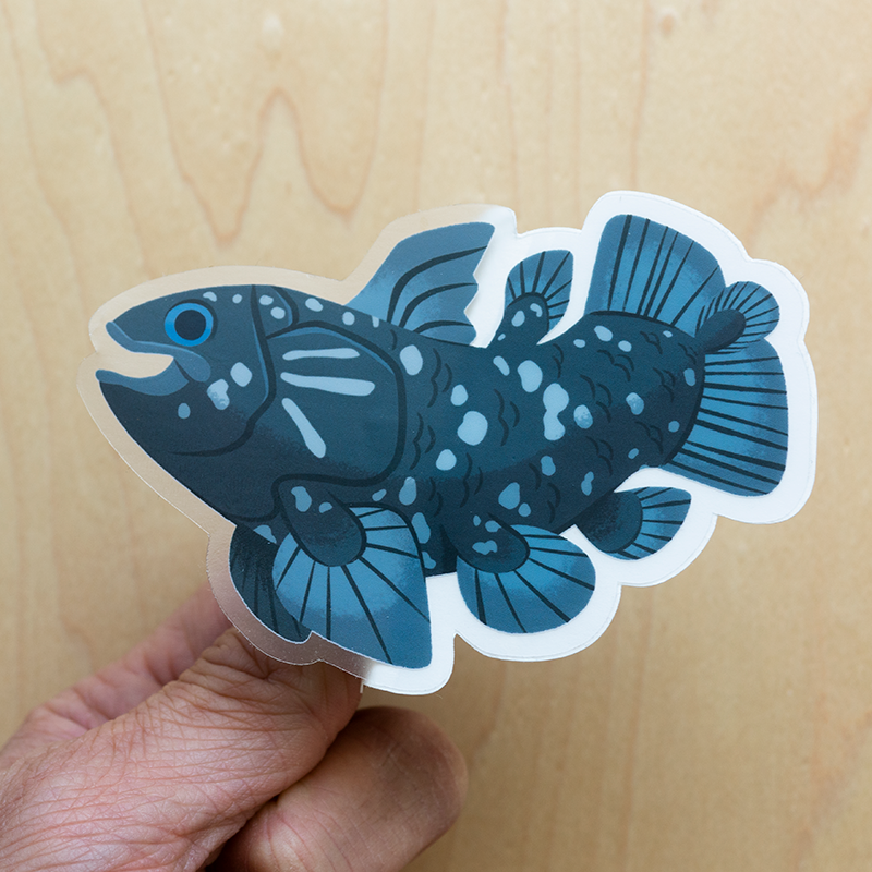 Coelacanth Sticker The Beast Is Back Inc coelacanth-sticker-the-beast-is-back-inc