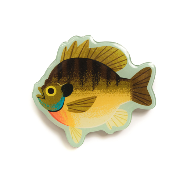 Bluegill - Acrylic Magnet