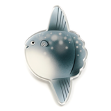 Mola Mola - Acrylic Magnet