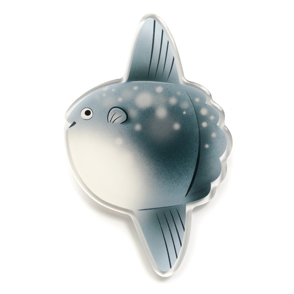 Mola Mola - Acrylic Magnet