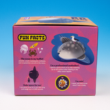 Mola Mola - Resin Figure