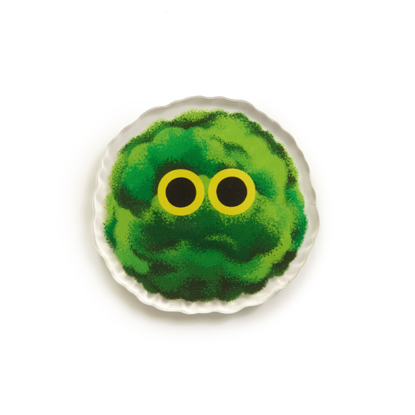 Moss Ball - Acrylic Magnet