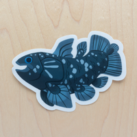 Coelacanth - Sticker